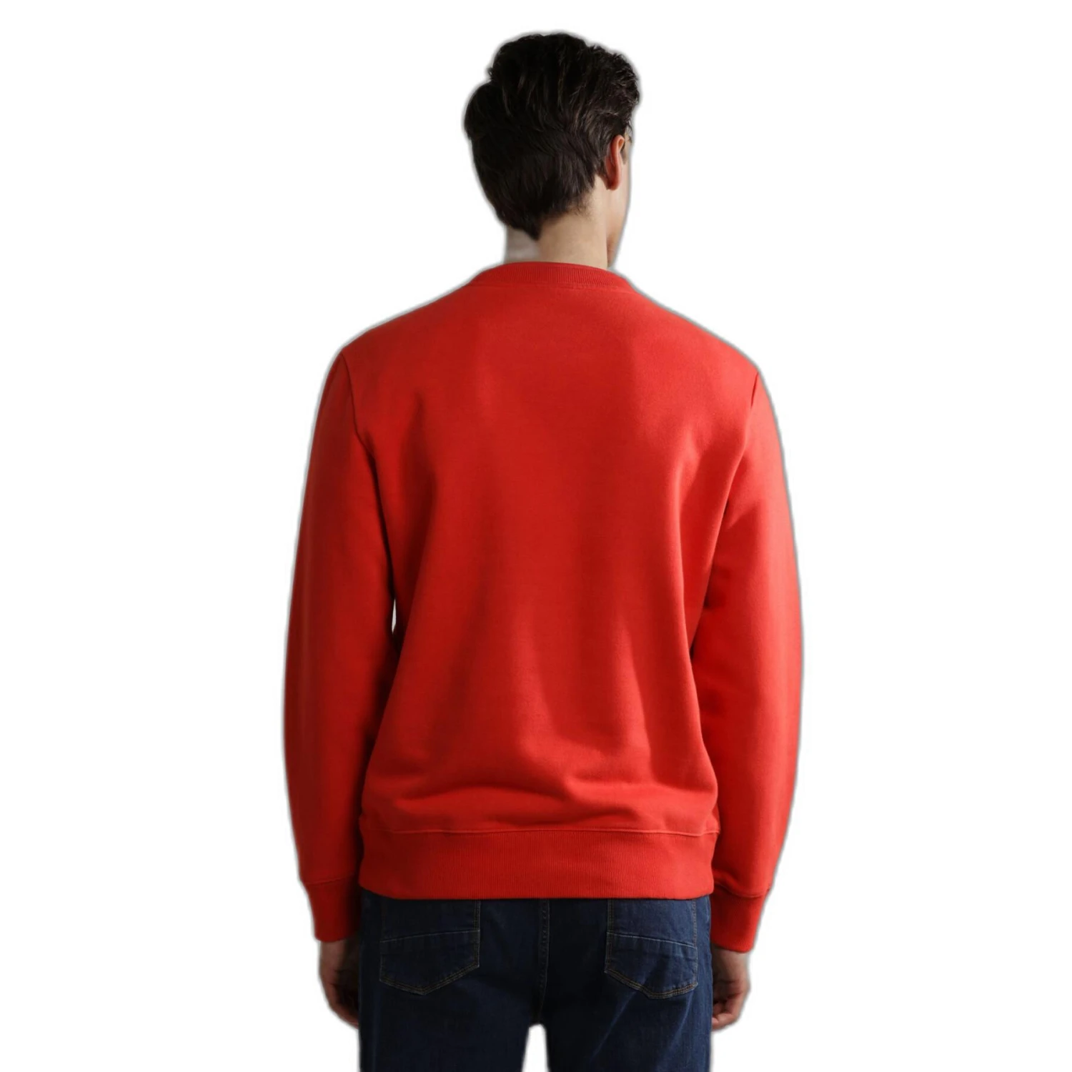 Felpa Con Cappuccio E Collo Rotondo Napapijri B-Ayas 1 7 Felpa Con Cappuccio E Collo Rotondo Napapijri B-Ayas 1 - immagine 5