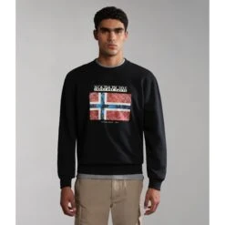 Felpa Napapijri Guiro 10 Felpa Napapijri Guiro -Napapijri napapijri np0a4gze 041 03